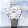 Festina Orologio acciaio Festina maglia Milano fondo Glicine F20475/3