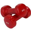 dfh COPPIA 2 MANUBRI PESI DA PALESTRA MANUBRIO PESETTI PER FITNESS BILANCIERE 3.0KG