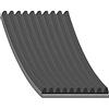 febi bilstein 104658 - Cinghia trapezoidale scanalata, numero 10, 1 pezzo