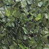 Verdelook Siepe finta artificiale ombreggiante Edera decorazione giardino 1x3 1.5x3 mt