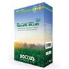 BOTTOS ROYAL BLUE Semi Sementi per Prato Extra Forte BOTTOS ROYAL BLUE Plus 1 Kg per Climi Caldi