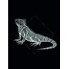 Komar Iguana P077D-30x40 - Poster da parete con immagine del soggiorno, camera da letto, decorazione artistica senza cornice, 30 x 40 cm (larghezza x altezza)