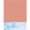 Clairefontaine - RIF. 496012C - Pastelmat - Tavola montata (5 Fogli) - 1800 Micron - 50 x 70 cm - Colore Siena - Appositamente formulato per l'uso con pastelli