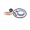 CLAS Equipements Kit guarnizioni per cilindro Pressa 50T (SA 0851) e pressa idraulica 50T (Oh 0850) - SA 0850