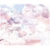 Komar 6027A-VD3 Clouds - Carta da parati in tessuto non tessuto, 300 x 250 cm, multicolore
