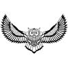 Homemania HOMESRV-18 Decorazione da Parete Owl, Nero, 80 x 1.5 x 50 cm