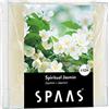 Spaas 24 Cere profumate da sciogliere-Gelsomino, Cera, Bianco, Spiritual Jasmine