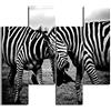 HOMEMANIA Quadro Zebra - 4 Pezzi - Animali - da Soggiorno, Camera - Multicolore in MDF, 76 x 0,3 x 50 cm