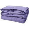 Soffim Class Piumino Piuma 1° Variante, 20% Cotone 80% Poliestere, Lilla, 250x200x5 cm