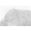 V.I.P. VERY IMPORTANT PILLOW V.I.P. Imbottitura Softylen 55x55 cm Gr. 400 Arrotolata