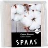 Spaas 24 Candele profumate in Cera - Fiore di Cotone, Beige, Cotton Blossom