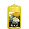 Spaas 12 Candele cilindriche profumate 60, 25 Ore-Southern cit, Cera di paraffina, Giallo Autunnale, D 60 mm x H 100 mm