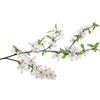 CREARREDA Adesivo Murale Ramo con Fiori Bianchi, Sticker per Muri facile da applicare e da rimuovere, materiali certificati, Made in Italy …