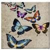 Homemania Stampa su Tela Butterfly, Multicolore, L60xP3xA60 cm