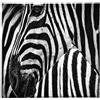 HOMEMANIA Quadro Zebra - Animali - per Soggiorno, Camera - Multicolore in Poliestere, Legno, 60 x 3 x 60 cm