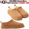 UGG WMNS Classic Micro Boot Chestnut 1173891-CHE taglia donna