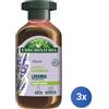 Antica Erboristeria 3x Antica Erboristeria Shampoo 250 Ml. Lavanda Normali