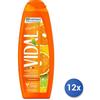 Vidal 12x Bundle Vidal Bagno Vitamina C 500 Ml