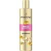 Pantene Pro-V Miracle Serum Shampoo Ricci Perfetti, con Olio di Ricino, Il potere di un siero in uno shampoo, nutre in profondità i ricci crespi e ribelli, 250 ML