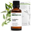 Aroma Labs Eucalipto Radiata BIO (Eucalyptus radiata) - 30 mL - Olio Essenziale Chemiotipizzato e Certificato AB - Benessere respiratorio - Aroma Labs - Made in France