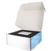 Swan Kit di allaccio Co2 Swan per bombola ricaricabili