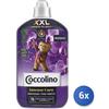 Coccolino 6x Bundle Coccolino Ammorbidente 1750 Ml. Concentrato Orchidea 76 Lavaggi