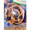 malito Pitta 'mpigliata pitta'nchiusa dolce tipico tradizionale calabrese gusto antico