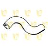 Unigom P6200 Manicotto Superiore Radiatore
