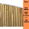Arella in bamboo STAR canniccio di canne bambu recinzione per giardino h 1 x 3 m