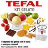 Tefal Kit Gelato per Foodmaster Pro 8638 e 8636 | Accessorio Originale