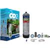 Aquili CO2 PLANTA PLUS - Kit CO2 con Riduttore 2 MANOMETRI e bombola 600 g - AQUILI