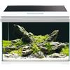 Amtra Acquario extra chiaro Amtra Modern Tank 50 LED 40 Lt 50,5 x 25,5 x 40 cm h