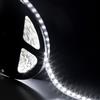 Rotolo Striscia 24W Led 3528 MT5 300SMD con Alimentatore Bianco Ghiaccio IP54