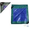 Papillon TELONE OCCHIELLATO PAPILLON IN POLIETILENE COLORE VERDE E BLU gr/mq 110 MT 6x8