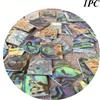 1pc 13mm Nuova Zelanda Abalone Conchiglia Foglio per Musical Strumento Accessori
