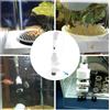 Incubatrice per uova di pesce d'acquario Incubatoio per allevamento a bocca