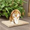 Coniglio Scratching Board Scratching Pad Anti Skid Nail Tool Giocare con gli