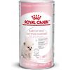 ROYAL CANIN GATTO BABYCAT LATTE IN POLVERE 300 GR - ALIMENTI PER GATTI