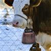 Campana da pascolo in stile retrò Premium Campanaccio per animali da