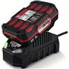 Parkside Batteria Litio Parkside 20V 2Ah PAP 20 B1 con caricabatterie PLG 20 C1