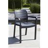SEDIA POLTRONA CON BRACCIOLI ESTERNO ALLIBERT TISARA GRAPHITE 53X58X83CM