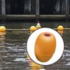 galleggiante per ancoraggio kayak a forma di oliva per kayak da piscina