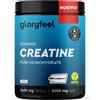 Gloryfeel Creatina Monoidrata in Polvere 500 g Materia Prima di Marca Creapure ad Alto