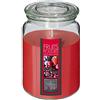 ATMOSPHERA CREATEUR D'INTERIEUR Atmosphera - Candela profumata Frutta Rossa 510G