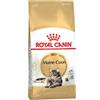 Royal Canin Maine Coon Adult 10 kg crocchette per gatti Maine Coon Adulti