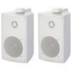 2X ALTOPARLANTI DA ESTERNO DIFFUSORI ACUSTICI HIFI SCAFFALE CASSE AUDIO PASSIVE