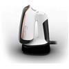 ROWENTA DR3030 FERRO STIRO VERTICALE ACCESS STEAM POCKET 15 SEC 1300W PIEGHEVOLE