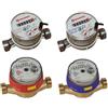 GIACOMINI GE552Y195 GE552-2 Contalitri per acqua sanitaria 1 AFS GIACOMINI