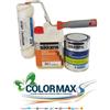 Sikkens CICLO ANTIMUFFA SIKKENS ALPHA DESINFECTOR PIU TEX SCHIMMELWEREND PIU RULLO 10LT