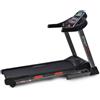 EVERFIT TFK-950 HRC Tapis Roulant con inclinazione elettrica velocita 22kmh +HRM